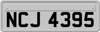 NCJ4395