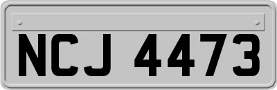 NCJ4473