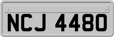 NCJ4480