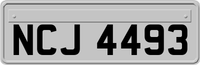 NCJ4493