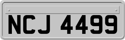 NCJ4499