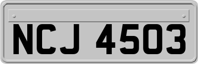 NCJ4503