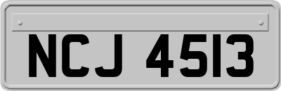 NCJ4513