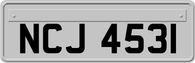 NCJ4531