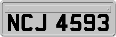NCJ4593