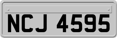 NCJ4595