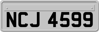 NCJ4599