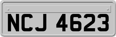 NCJ4623