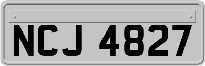 NCJ4827
