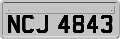 NCJ4843