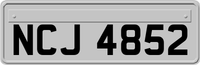 NCJ4852