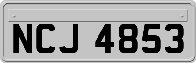 NCJ4853