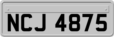 NCJ4875