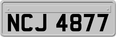 NCJ4877
