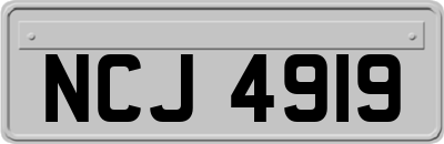 NCJ4919