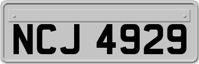 NCJ4929