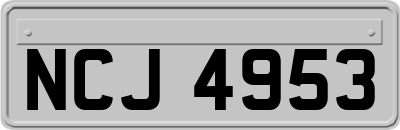 NCJ4953