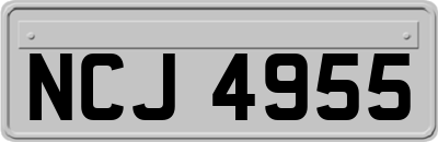 NCJ4955