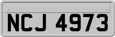 NCJ4973