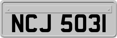 NCJ5031