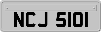 NCJ5101