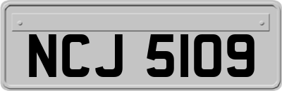 NCJ5109