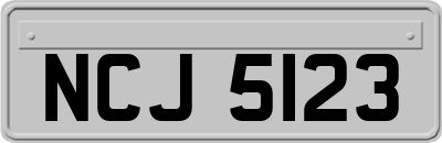 NCJ5123