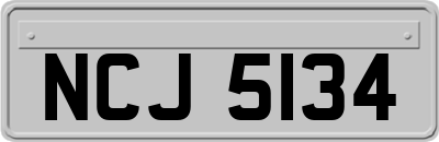NCJ5134