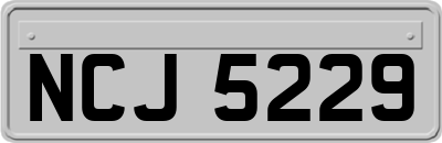 NCJ5229