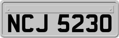 NCJ5230