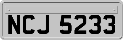 NCJ5233