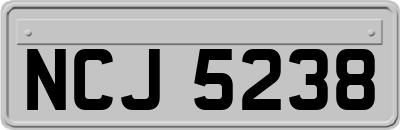NCJ5238