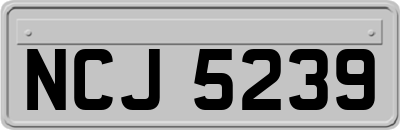 NCJ5239