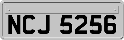 NCJ5256