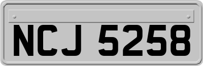 NCJ5258