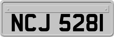 NCJ5281