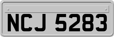 NCJ5283
