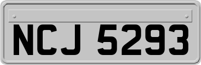 NCJ5293