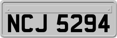 NCJ5294