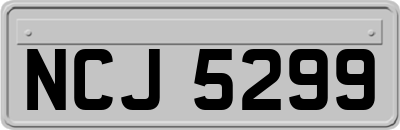 NCJ5299