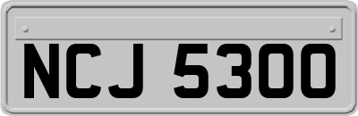 NCJ5300