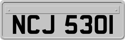 NCJ5301