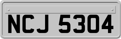 NCJ5304