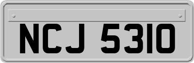 NCJ5310