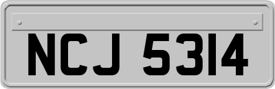 NCJ5314