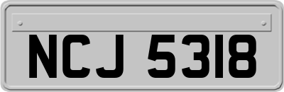 NCJ5318