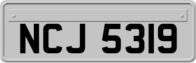 NCJ5319