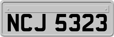 NCJ5323