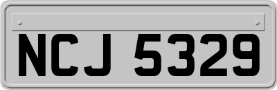 NCJ5329