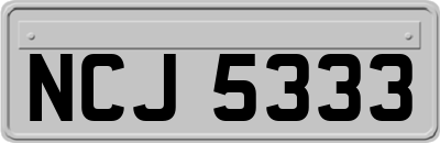 NCJ5333